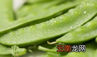豌豆可以生吃吗 豌豆可不可以生吃