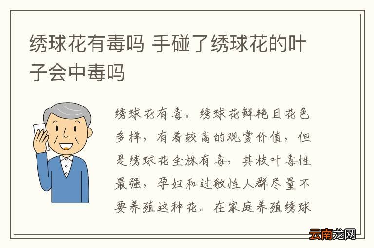 绣球花有毒吗 手碰了绣球花的叶子会中毒吗