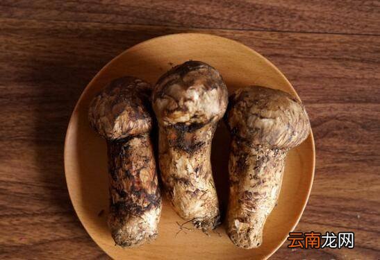 黄油煎野生松茸做法是什么