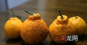 丑橘外皮长绿毛还能吃吗,橘子长了一点点点点绿色毛还能吃吗吃了会有什么害处？