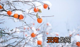 冬天的特点 冬天有什么特点