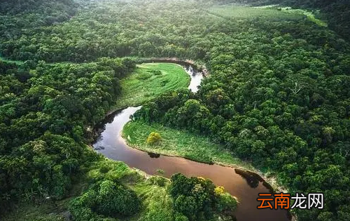亚马逊雨林被誉为什么，亚马逊雨林为何被称为地球之肺
