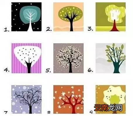 九棵树，你会躲在哪棵树后