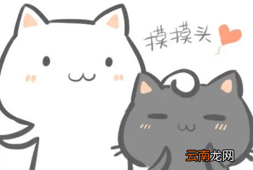 摸头是什么心理表现，男生说女生头发香是什么心理
