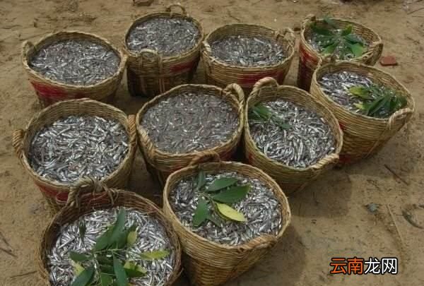 生抽老抽味极鲜蚝油用法有何区别