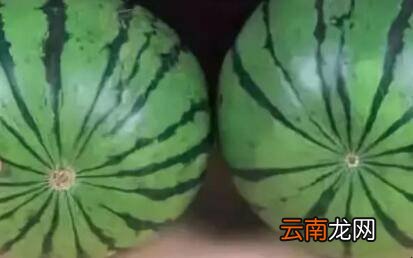 挑西瓜的5个小窍门是什么