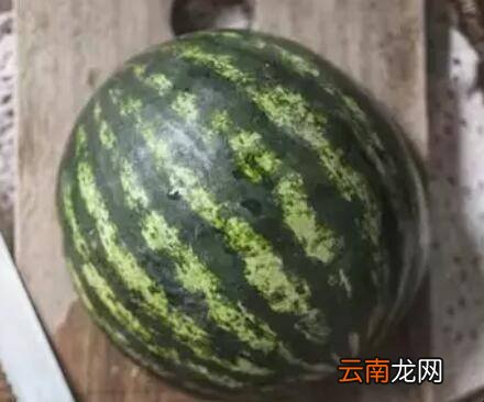 挑西瓜的5个小窍门是什么