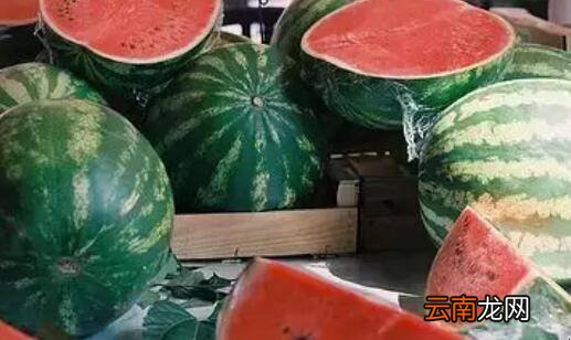 挑西瓜的5个小窍门是什么