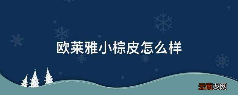 欧莱雅小棕皮怎么样
