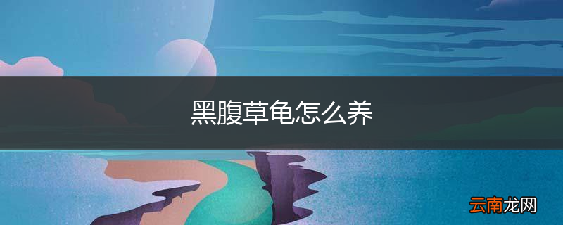 黑腹草龟怎么养