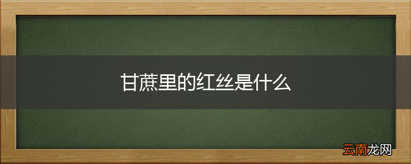 甘蔗里的红丝是什么