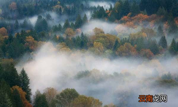 雾消失到哪里去了，雾消失了他到哪里去了呢二年级