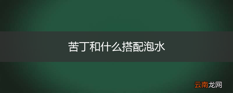 苦丁和什么搭配泡水
