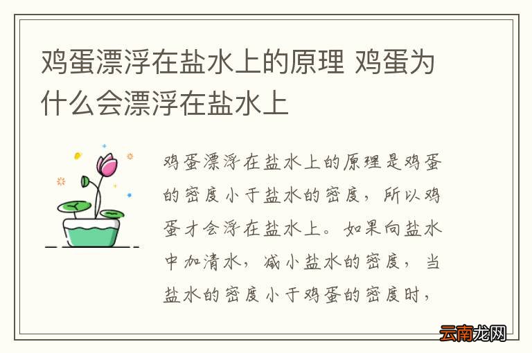 鸡蛋漂浮在盐水上的原理 鸡蛋为什么会漂浮在盐水上