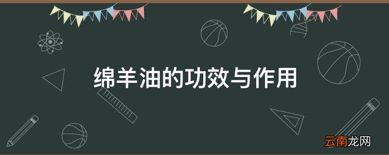 绵羊油的功效与作用