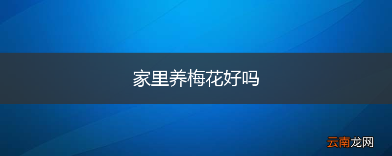 家里养梅花好吗