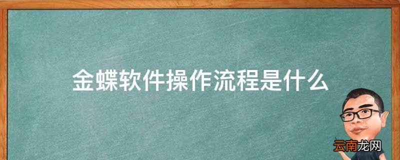 金蝶软件操作流程是什么