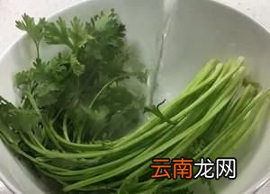 紫包菜的食用方法,紫包菜的功效与作用及食用方法