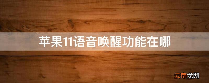 iphone11语音唤醒功能怎么设置 iPhone11语音唤醒功能在哪