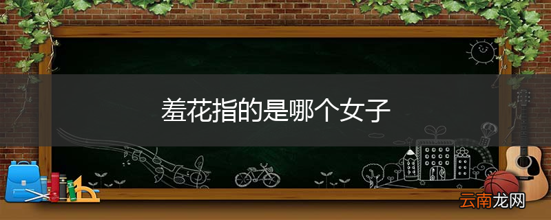 羞花指的是哪个女子