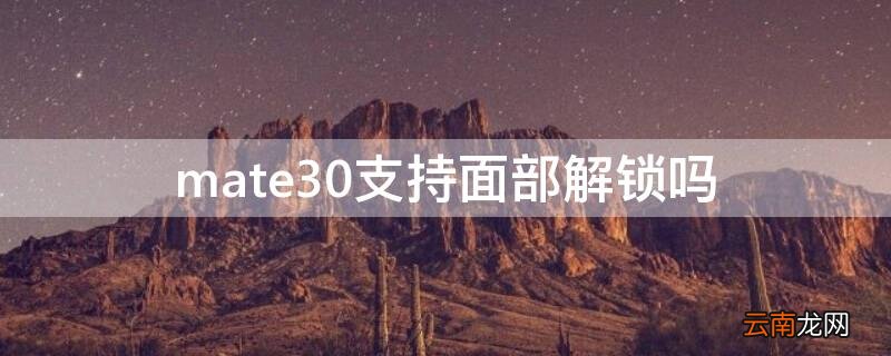 华为mate30epro有面部解锁吗 mate30支持面部解锁吗