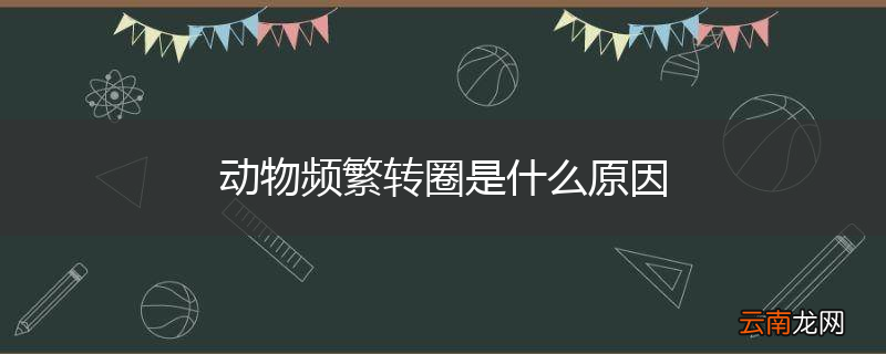 动物频繁转圈是什么原因
