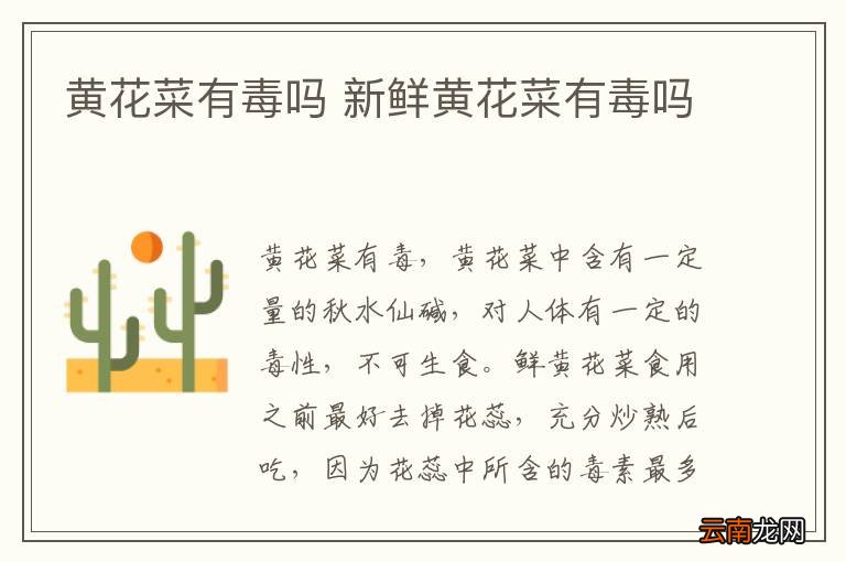 黄花菜有毒吗 新鲜黄花菜有毒吗