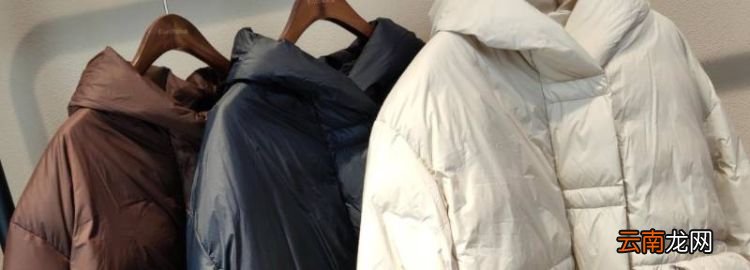 羽绒服能蒸汽熨烫，羽绒服皱了可以用蒸汽熨烫吗知乎
