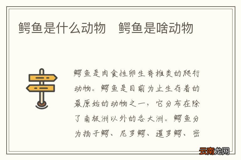 鳄鱼是什么动物鳄鱼是啥动物