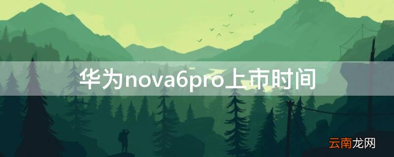 nova6pro上市时间价格 华为nova6pro上市时间
