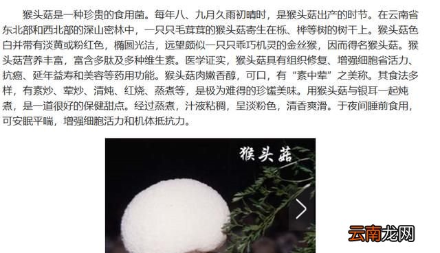 菌类都有哪些食物 菌类食材都有哪些图片