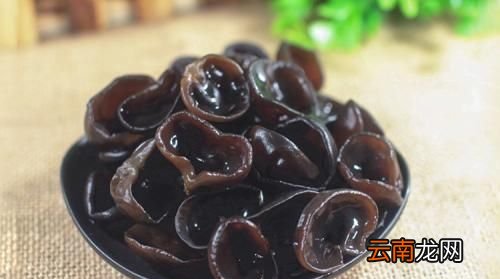菌类都有哪些食物 菌类食材都有哪些图片