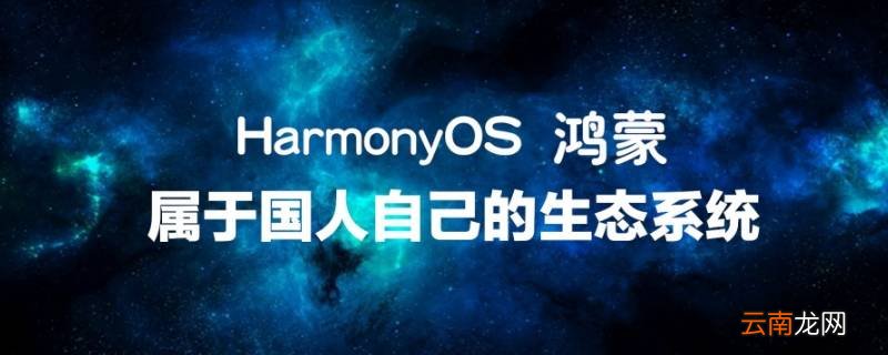 鸿蒙可以用google play吗 鸿蒙可以用google