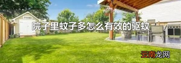 院子里蚊子多怎么有效的驱蚊