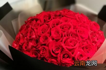 8朵红玫瑰花语是什么，十八朵红玫瑰花代表什么意思