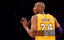 科比有什么拿得出手的荣誉,科比有过哪些荣誉