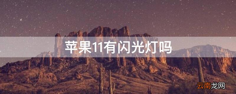 iPhone11有闪光灯吗 苹果11手机有闪光灯吗