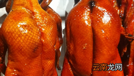 烧鸭要什么品质，啤酒烧鸭的做法 最正宗的做法