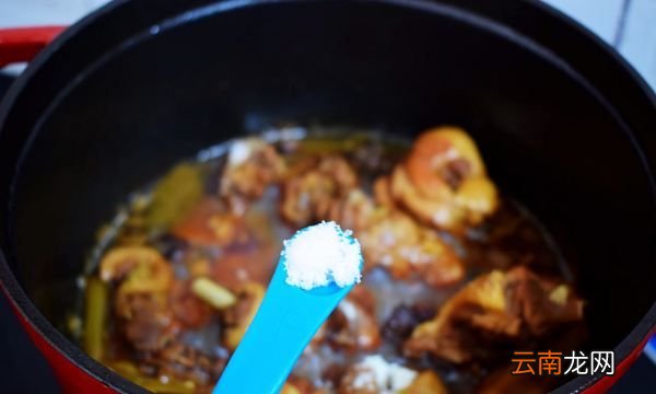 烧鸭要什么品质，啤酒烧鸭的做法 最正宗的做法
