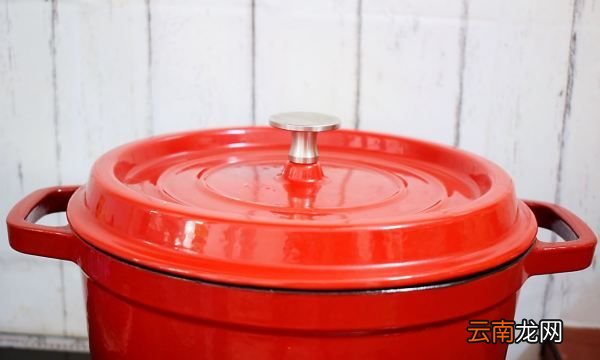 烧鸭要什么品质，啤酒烧鸭的做法 最正宗的做法