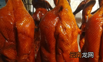 烧鸭要什么品质，啤酒烧鸭的做法 最正宗的做法