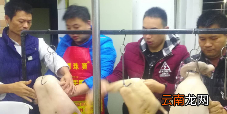 烧鸭要什么品质，啤酒烧鸭的做法 最正宗的做法