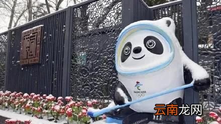 都有什么样的冰墩墩 冰墩墩有什么吸引人的地方