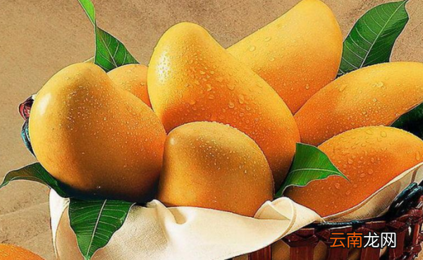 芒果像什么，什么什么的芒果填空