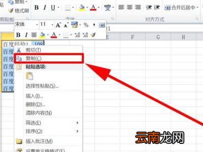 怎么复制excel表格到另一个表格