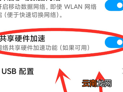 家中wifi手机显示已连接不可上网
