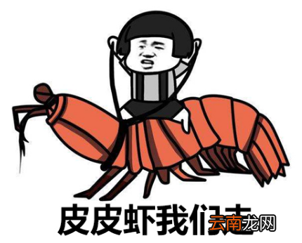 2017十大网络用语有哪些?