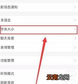 支付宝字体怎么变大