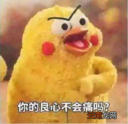2017十大网络用语有哪些?