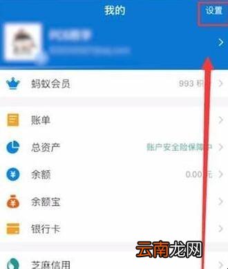 支付宝字体怎么变大